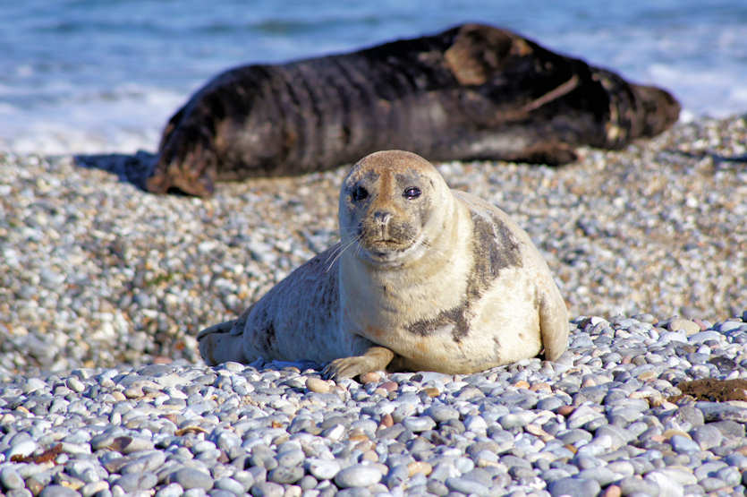 Norway2012_23